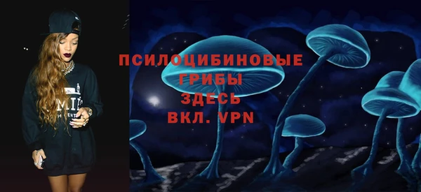 мет Алексин