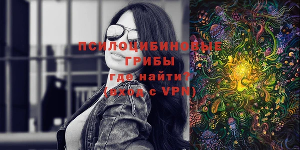 мет Алексин