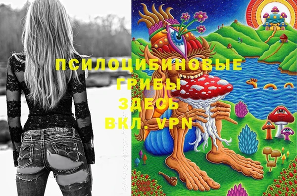 метадон Алексеевка